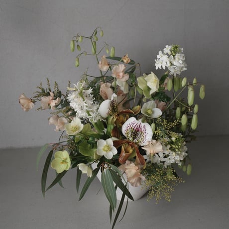 Order Arrangement (LL)