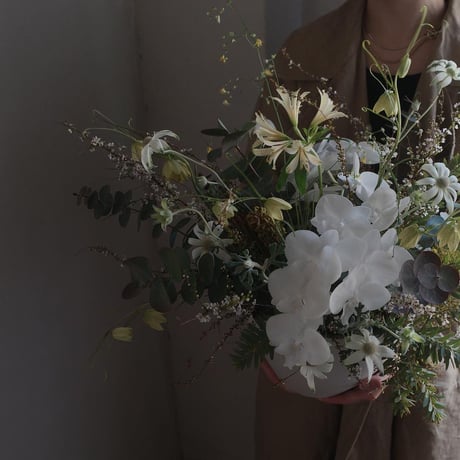 Order Arrangement (LL)