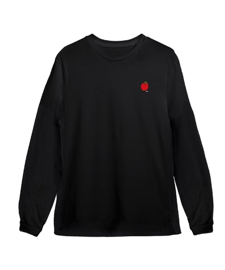 #165　502EASY Apple刺繍ロングTシャツ