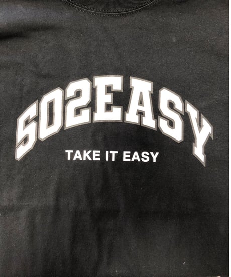 #085　502EASY カレッジロゴBigサイズロンT
