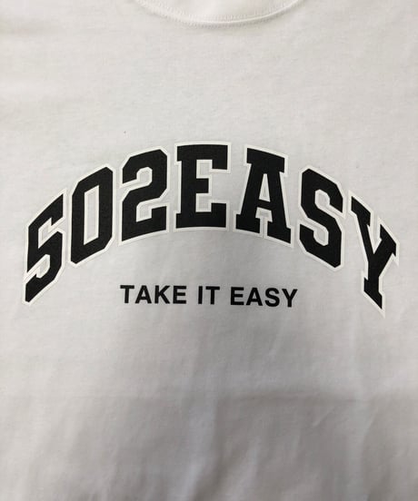 #085　502EASY カレッジロゴBigサイズロンT