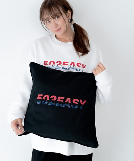 #124 　502EASYキャンパスクッションカバー