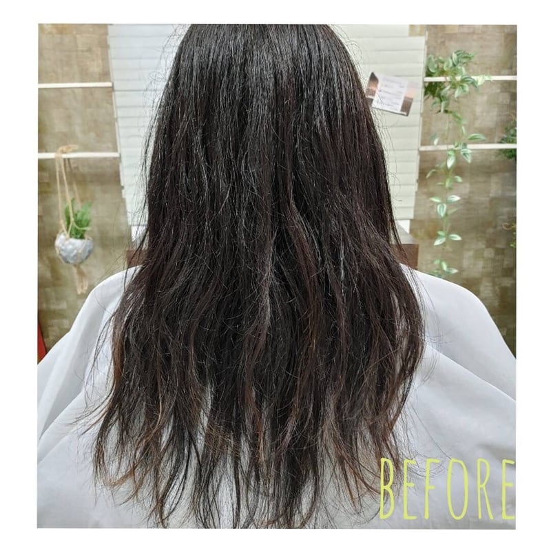 正規取扱店】リケラエマルジョン ※注意書きをご覧ください | SAVIAN