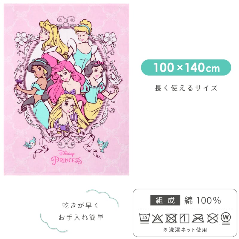 タオルケット (100×140cm) ディズニー プリンセス トイ・ストーリー
