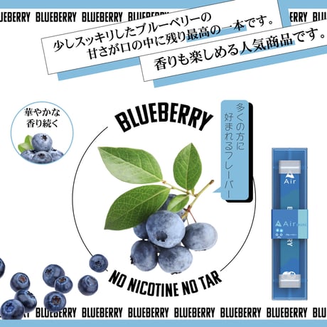 【リニューアル】Air mini BLUEBERRY【ブルーベリー】