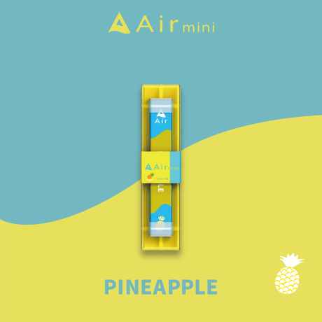 【リニューアル】Air mini PINEAPPLE【パイナップル】