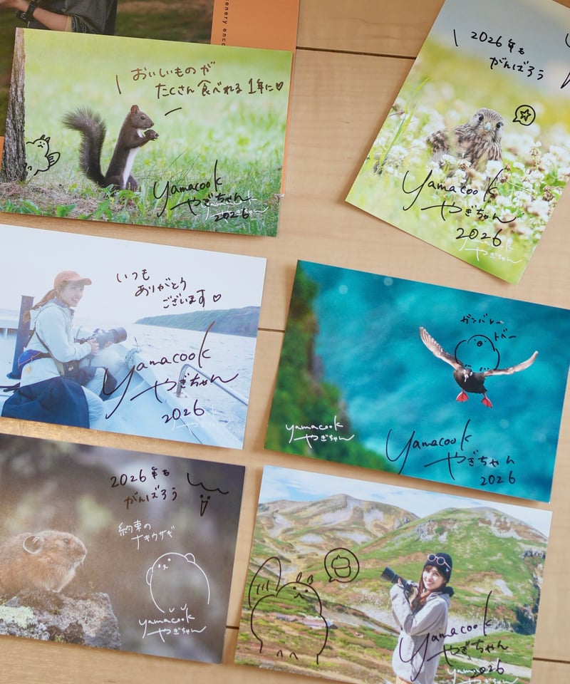 3冊】+直筆サイン入りポストカード 壁掛けカレンダー2026「山と野生の