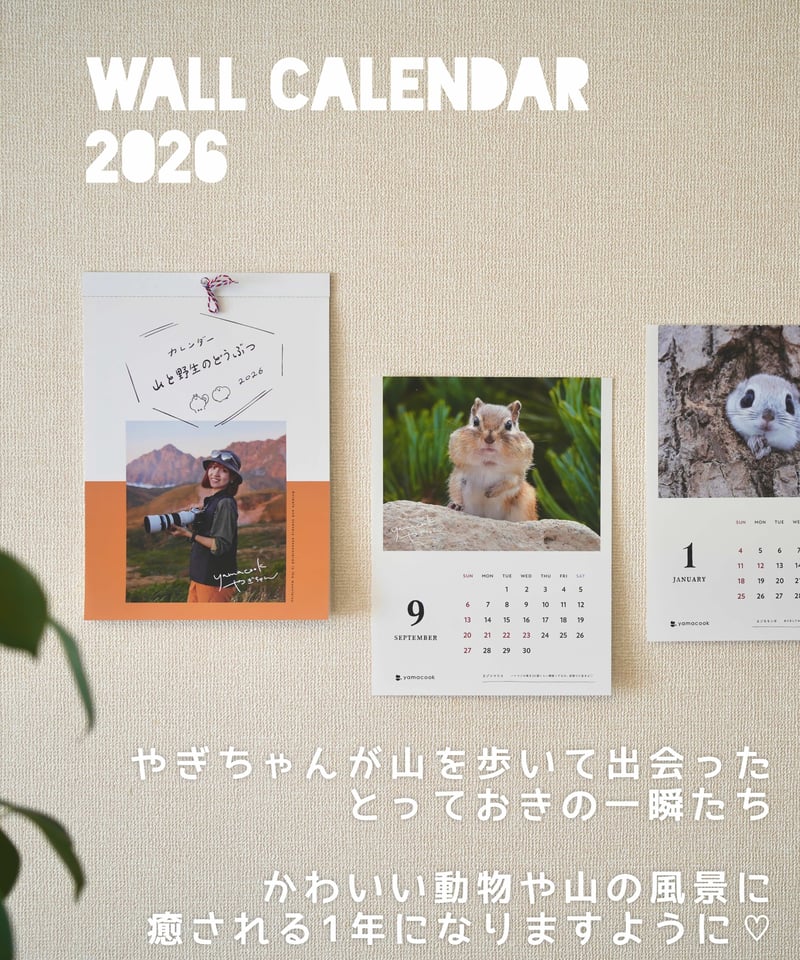 3冊】+直筆サイン入りポストカード 壁掛けカレンダー2026「山と野生の