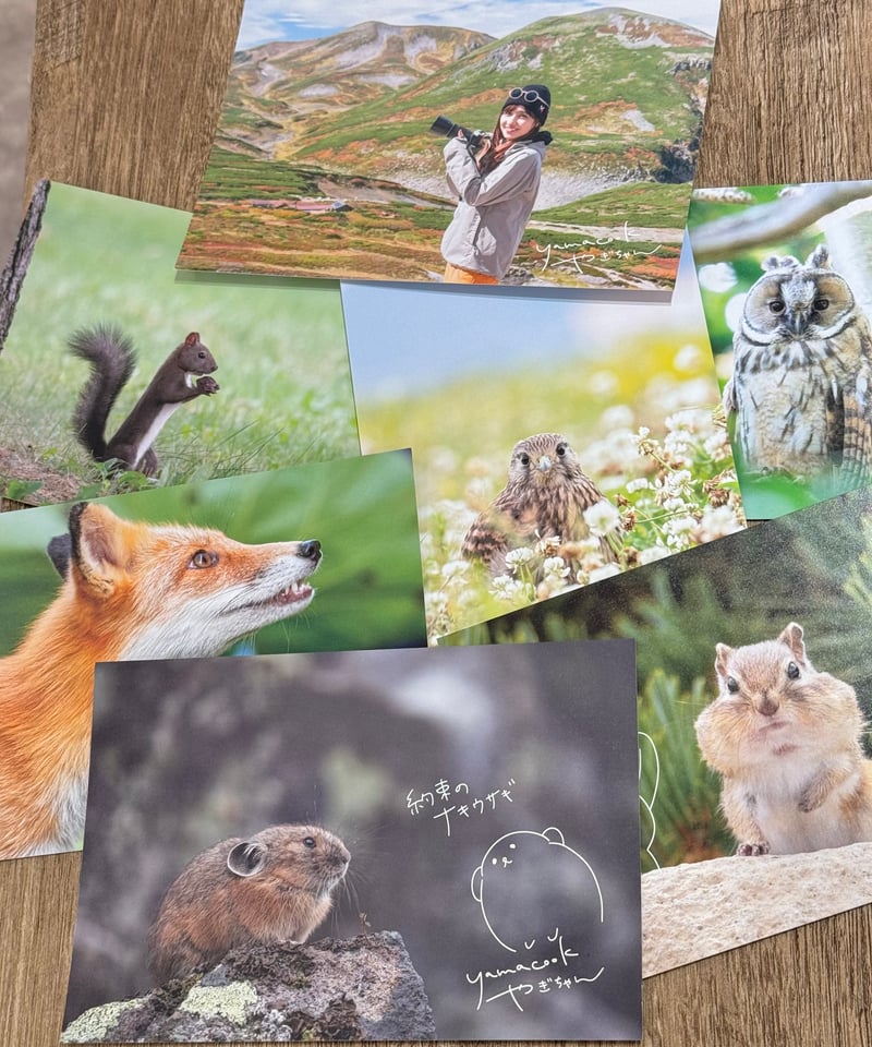 1】写真展ポストカード7枚組（もぐもぐしまり）※送料無料 | yamacook