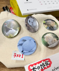限定品「山と野生のどうぶつ」  バッジ！ポストカード付💕