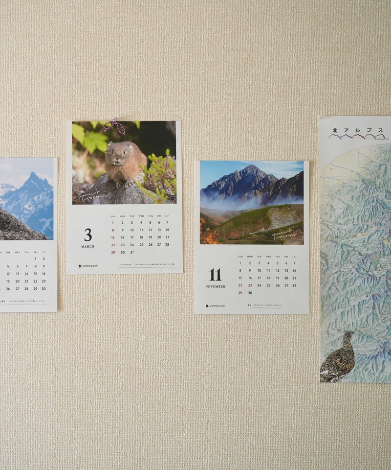 3冊】+直筆サイン入りポストカード 壁掛けカレンダー2026「山と野生の