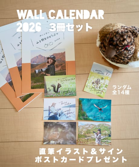 懸賞当選品　『蛇行する川のほとり』直筆サイン入りオリジナルポスターカレンダー 懸賞当選品 『蛇行する川のほとり』直筆サイン入りオリジナルポスター