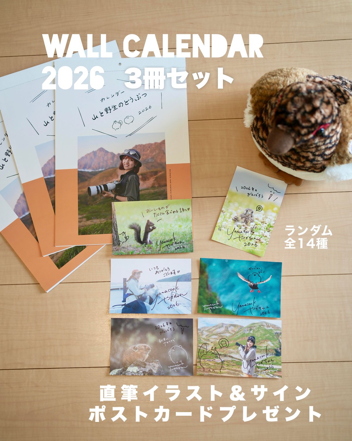 3冊】+直筆サイン入りポストカード 壁掛けカレンダー2026「山と野生の