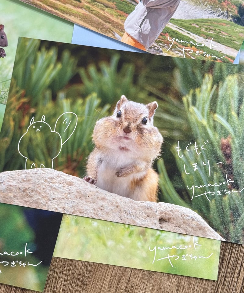 1】写真展ポストカード7枚組（もぐもぐしまり）※送料無料 | yamacook