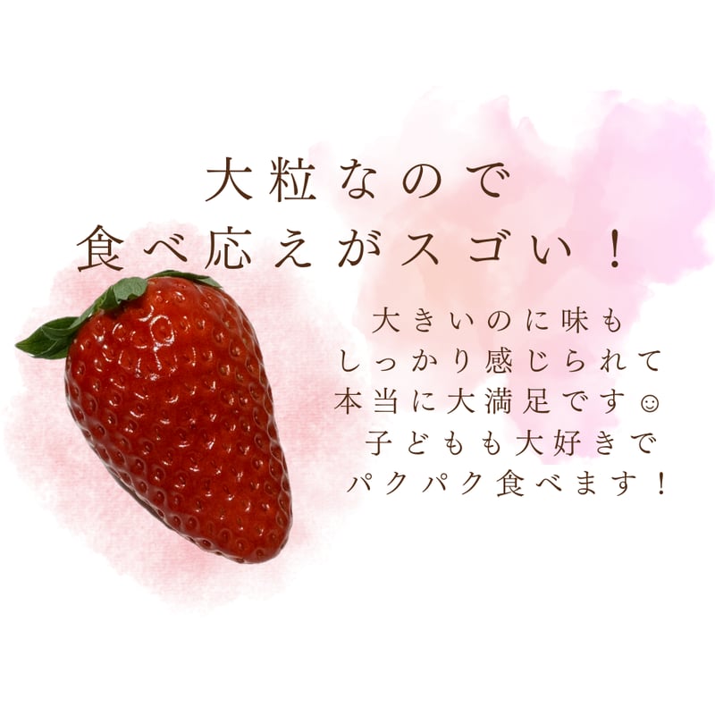 加藤農園｜いちご1箱 (1箱2パック入り 約250g×2) 冷蔵便 | Coloré by