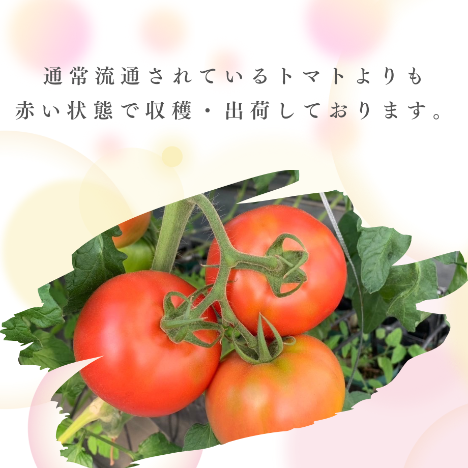 67b33b4e6f1dc907757f365a