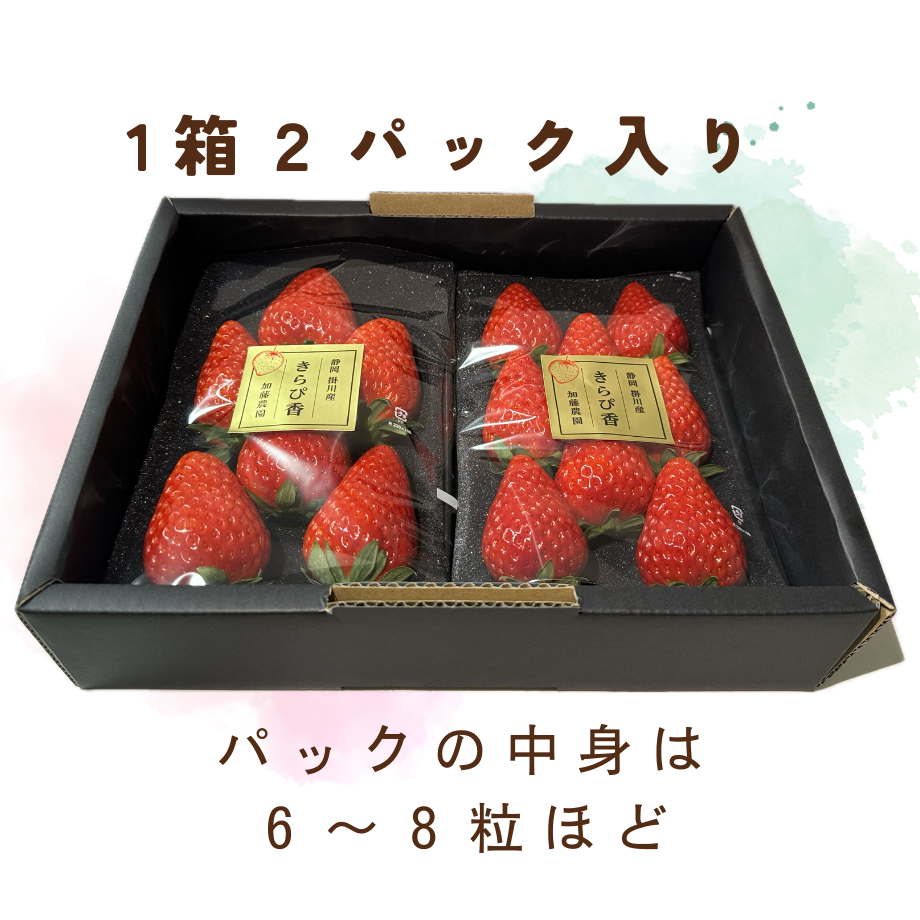 加藤農園｜いちご 2箱(1箱2パック入り 約250g×2) 冷蔵便 | Coloré by