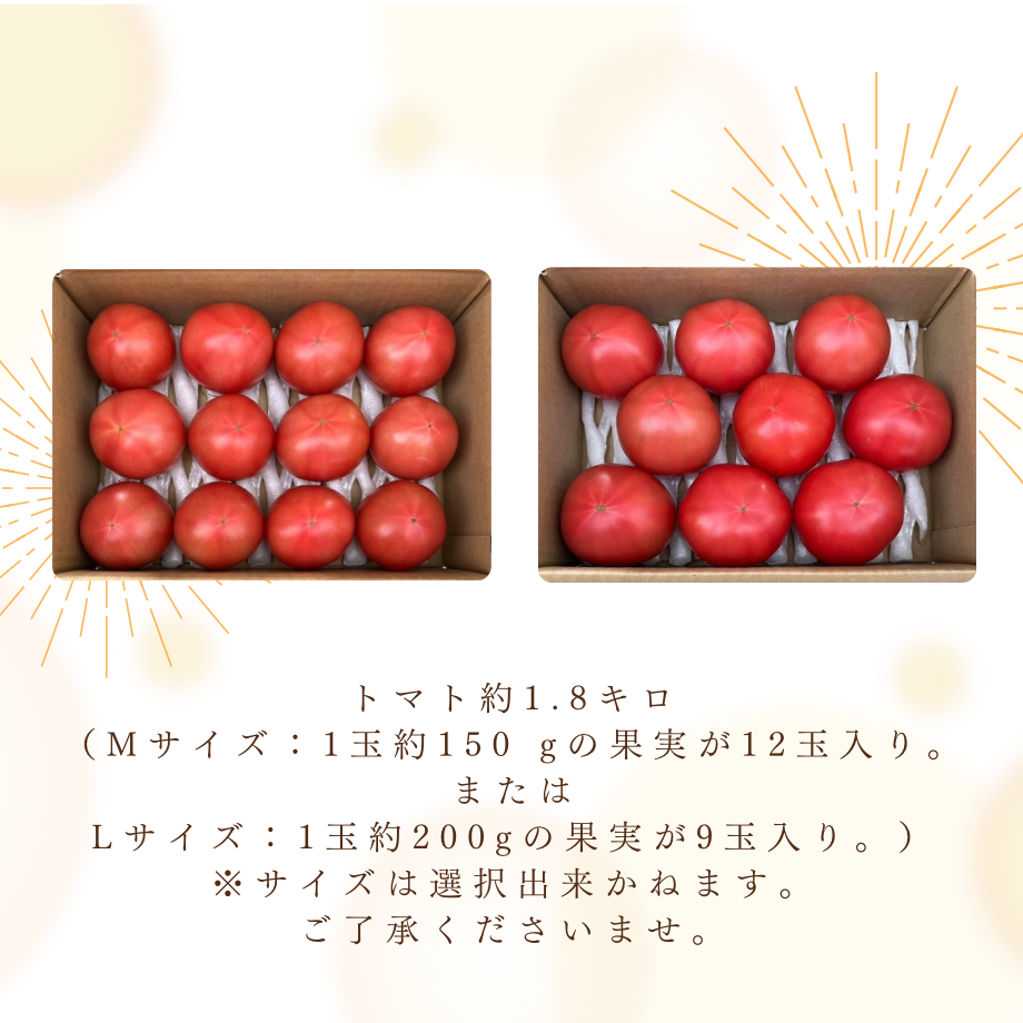 67b33b4e6f1dc907757f365a