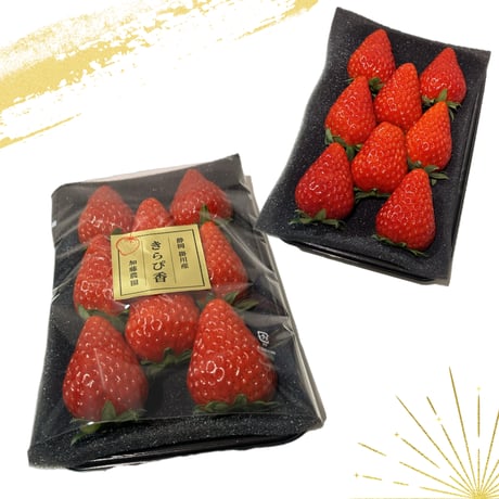 加藤農園｜いちご 2箱(１箱2パック入り 約250g×2) 冷蔵便