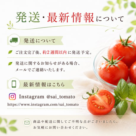 【限定】彩-sai-の夏トマト｜３箱(１箱950ｇ入り)