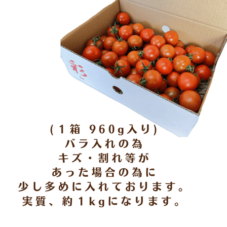 彩-sai-｜フルティカ２箱(１箱950ｇ入り)