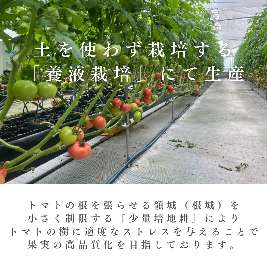 67b33b4e6f1dc907757f365a