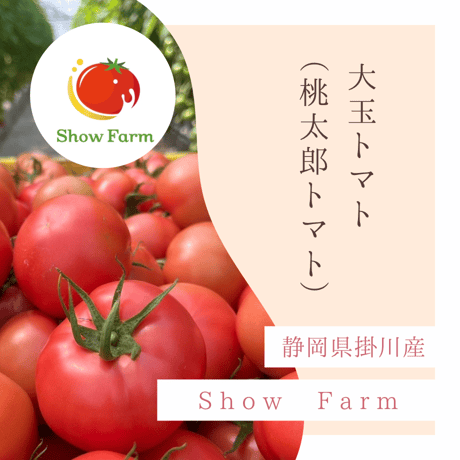 Show Farm┃大玉トマト１箱（約1.8㎏入り）