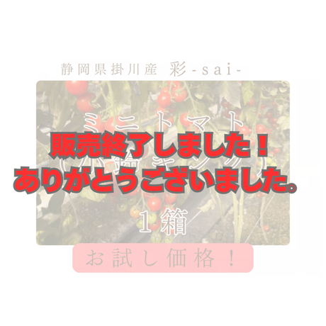 有機肥料 | STORES 有機肥料 | STORES