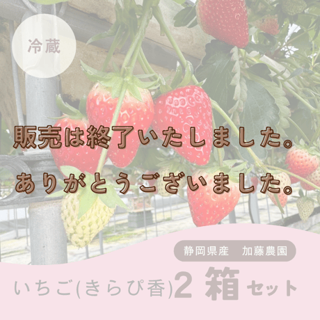 CATEGORY いちご | Coloré by 彩-sai-