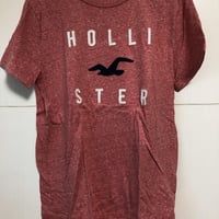 HOLLISTER ホリスター