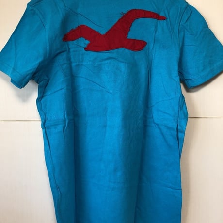 HOLLISTERホリスター