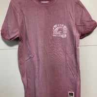 HOLLISTERホリスター