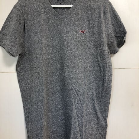 HOLLISTER ホリスター
