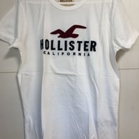 HOLLISTER ホリスター