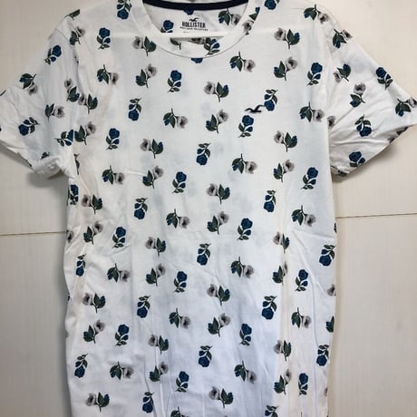HOLLISTER ホリスター