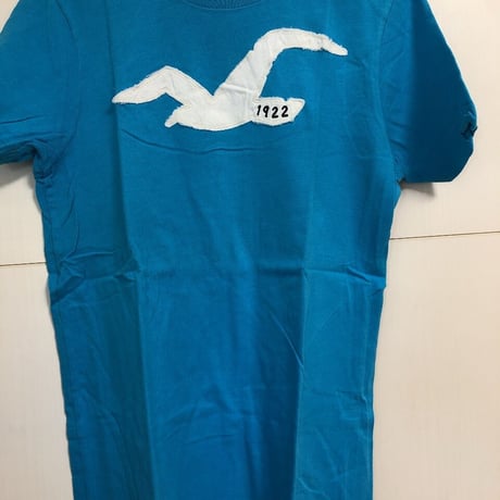 HOLLISTER ホリスター