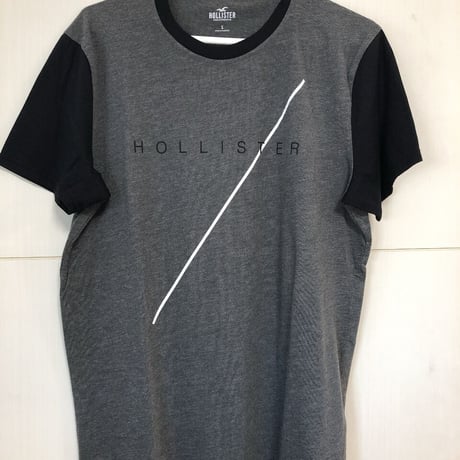 HOLLISTER ホリスター
