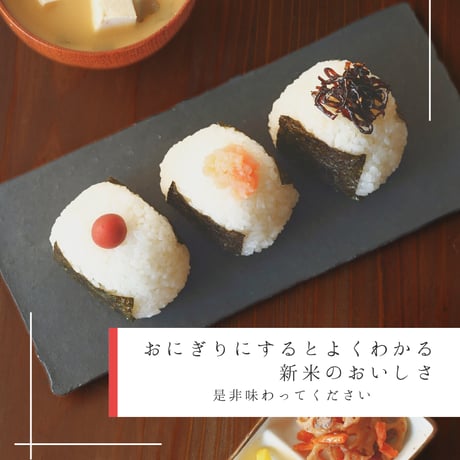 会津喜多方産こしひかり【新米】５ｋｇ※４袋迄