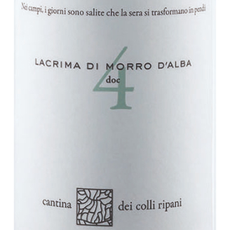 ラクリマ ディ モッロ ダルヴァ D.O.C. 2021 | Vino di Seitaro