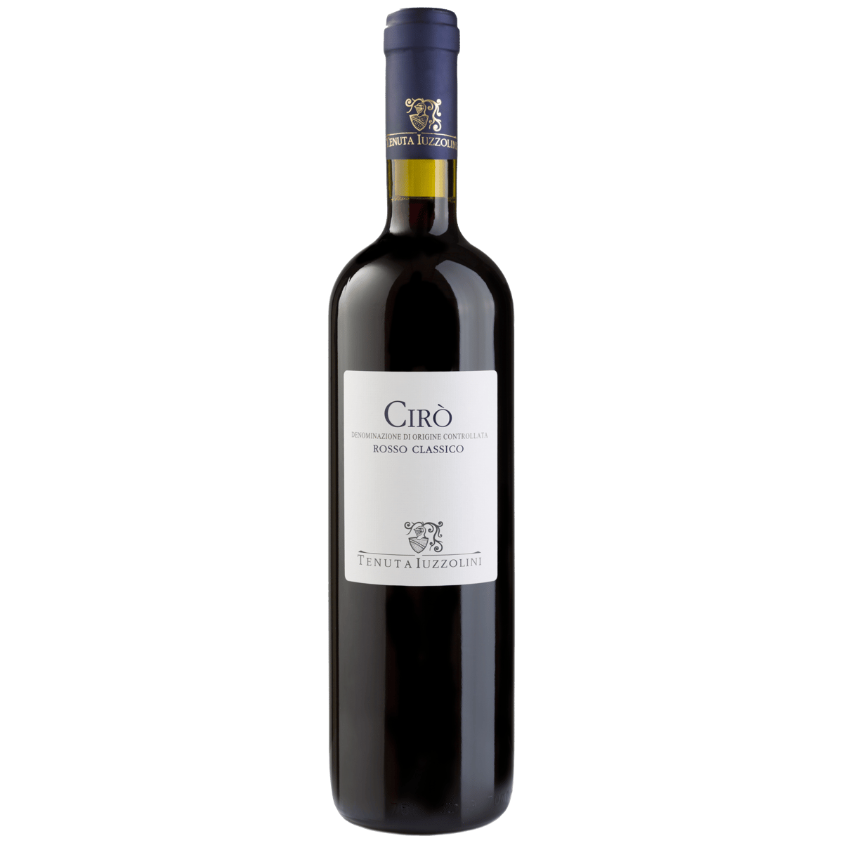 チロ ロッソ クラッシコ D.O.C. 2023 | Vino di Seitaro Arai