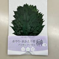 プリザーブド加工　榊（1対）