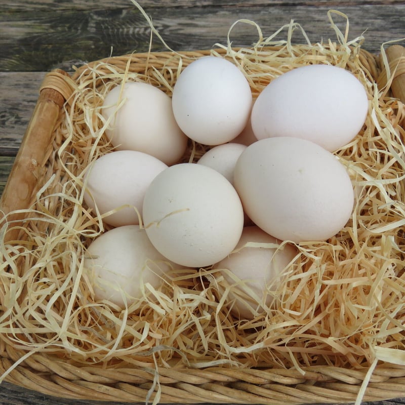のどか村天空さくらたまご 10個入2パック | 農業公園信貴山のどか村