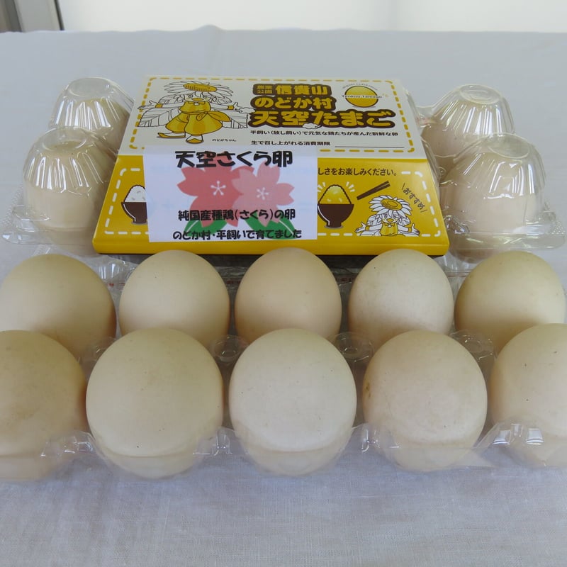 のどか村天空さくらたまご 10個入2パック | 農業公園信貴山のどか村