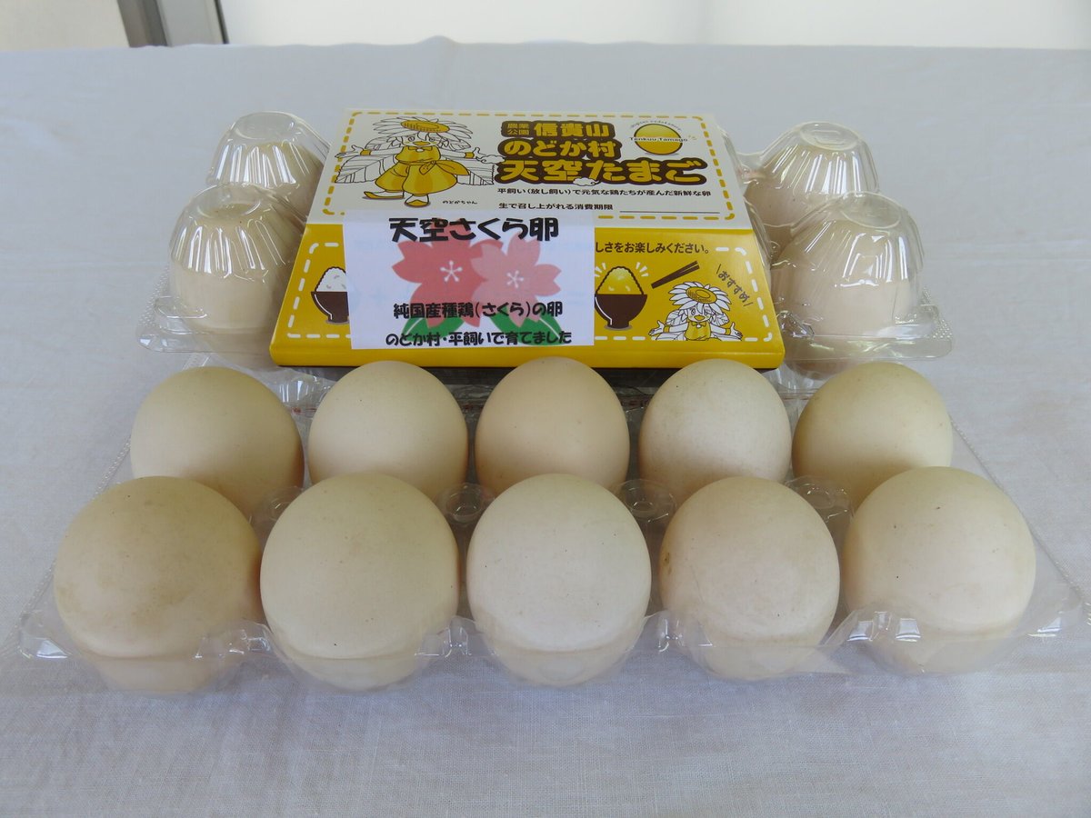 たまごさん専用 アスタキサンチンたまごちゃん 10個入り×3パック 卵 鶏卵