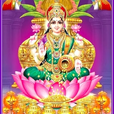 ノ*リ様 【300円スタート】姫吉祥天　アガベ　パリー　トランカータ　吉祥天 t*a様 ラスト【300円スタート】姫吉祥天子株アガベパリートランカータ