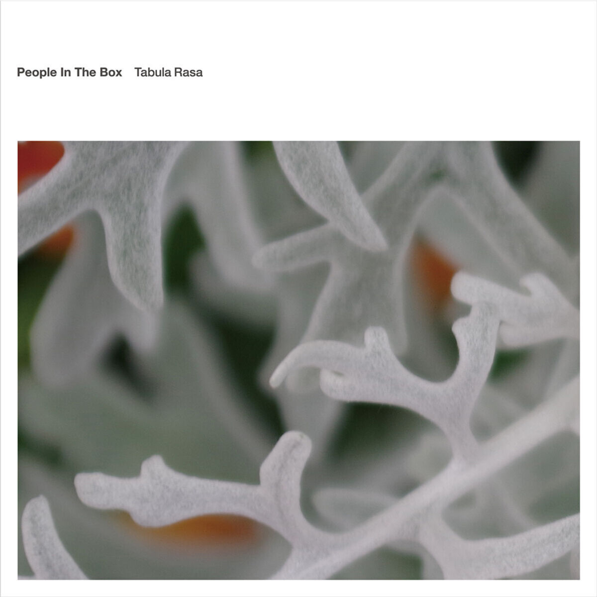 【CD】People In The Box まとめ売り CD 『Tabula Rasa』 | People In The Box Official W