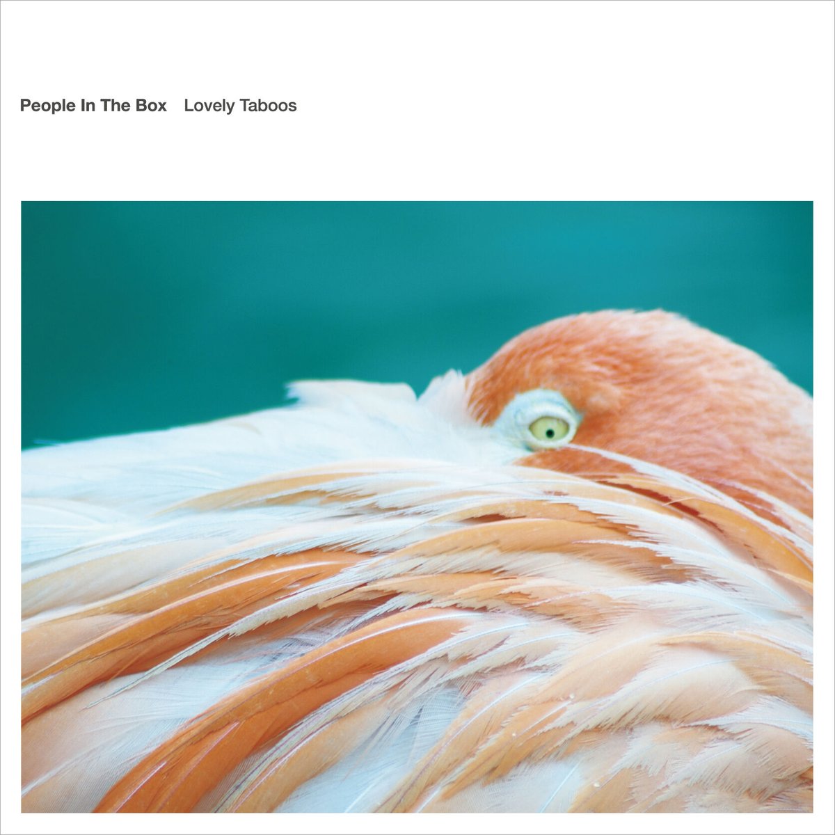 CD 『Lovely Taboos』 | People In The Box Official