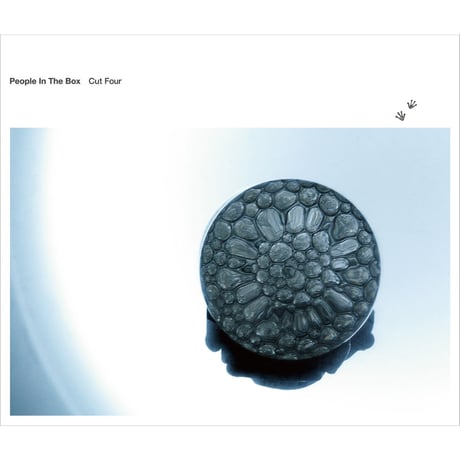 THE NOVEMBERS People In The Box グッズ タオル THE NOVEMBERS People In The Box グッズ タオル THE NOVEMBERS