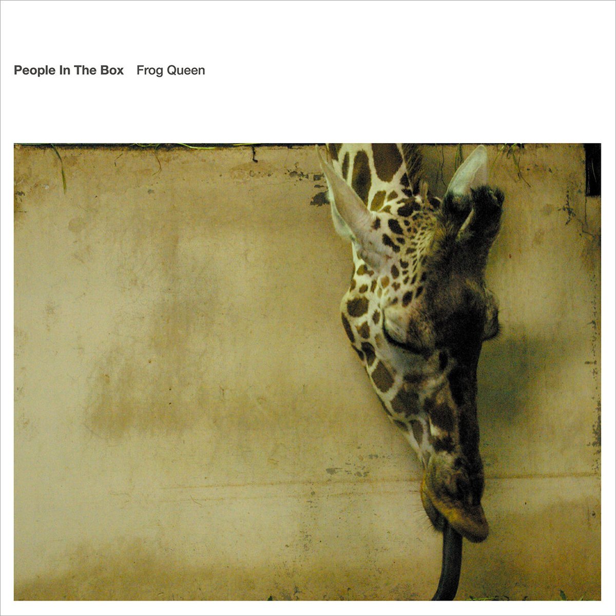 CD 『Frog Queen』 | People In The Box Official We