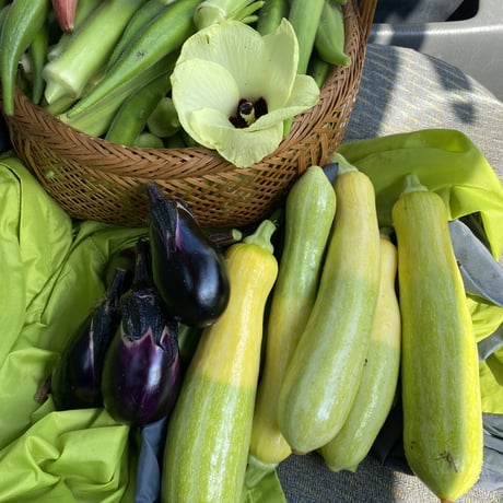 自然の恵みボックス Ｌ（季節の野菜おまかせセット）